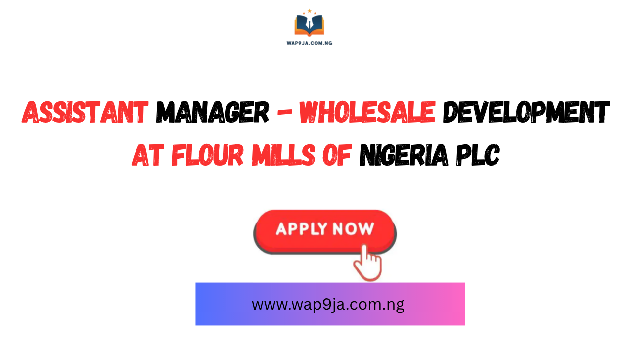 Assistant Manager – Wholesale Development at Flour Mills of Nigeria Plc